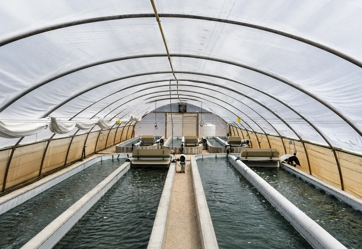 Spirulina cultivation ponds inside a greenhouse growing facility